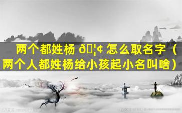 两个都姓杨 🦢 怎么取名字（两个人都姓杨给小孩起小名叫啥）